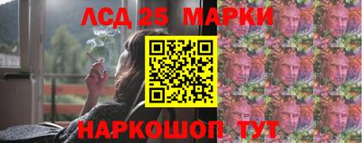 амф Бердск