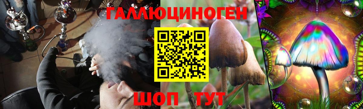 Дзержинск  Галлюциногенные грибы Psilocybine cubensis  Псилоцибиновые грибы Psilocybe  Вход с VPN 